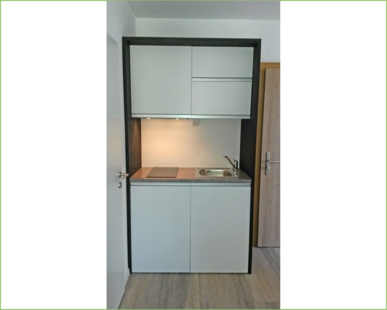 Wiesel-10.1-770x617
