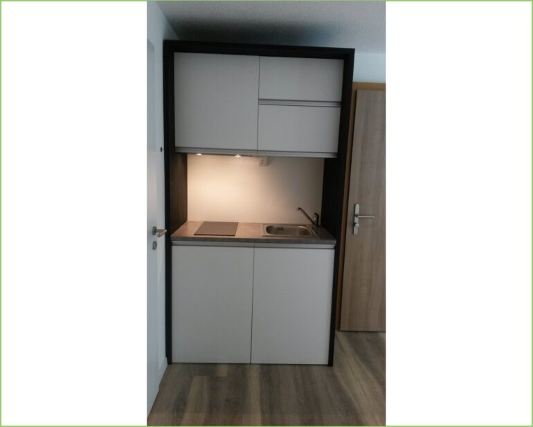 Wiesel-3.1-770x617